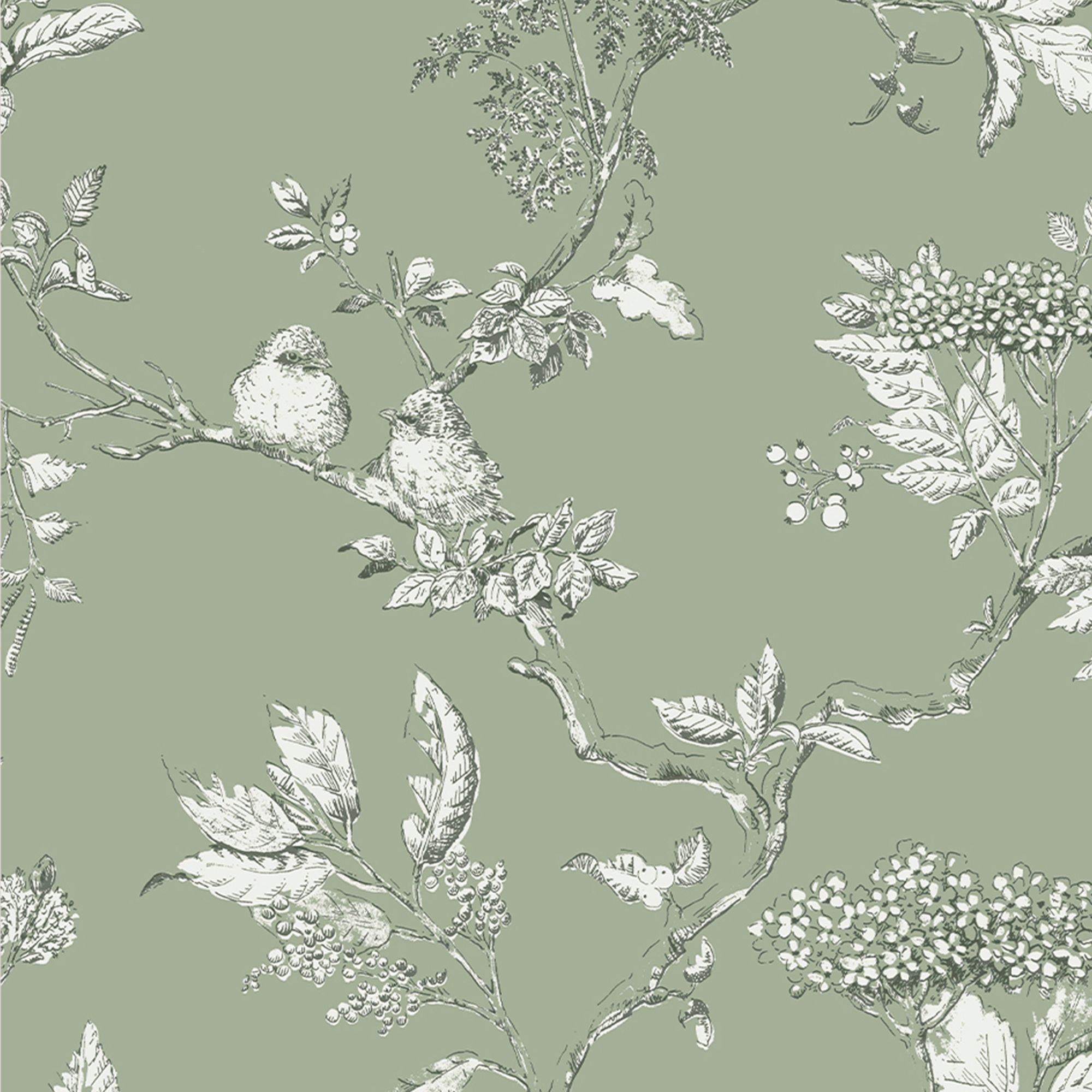 Laura Ashley Elderwood Sage Floral Smooth Wallpaper Sample