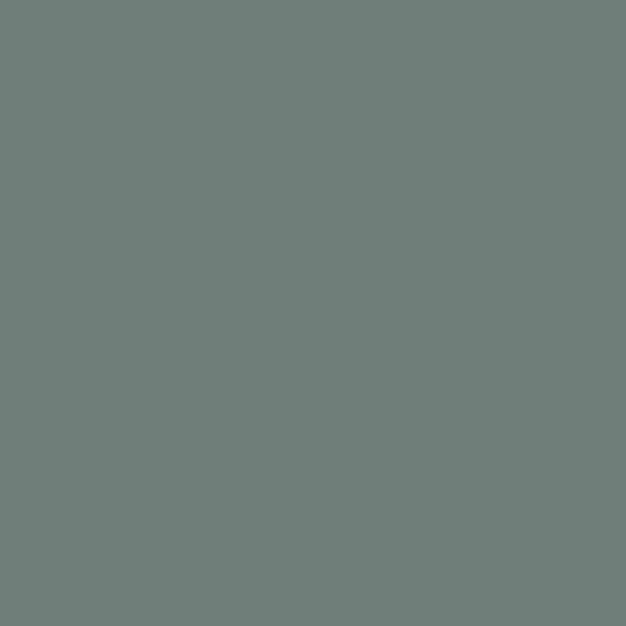 Laura Ashley Fern Eggshell Emulsion paint, 750ml