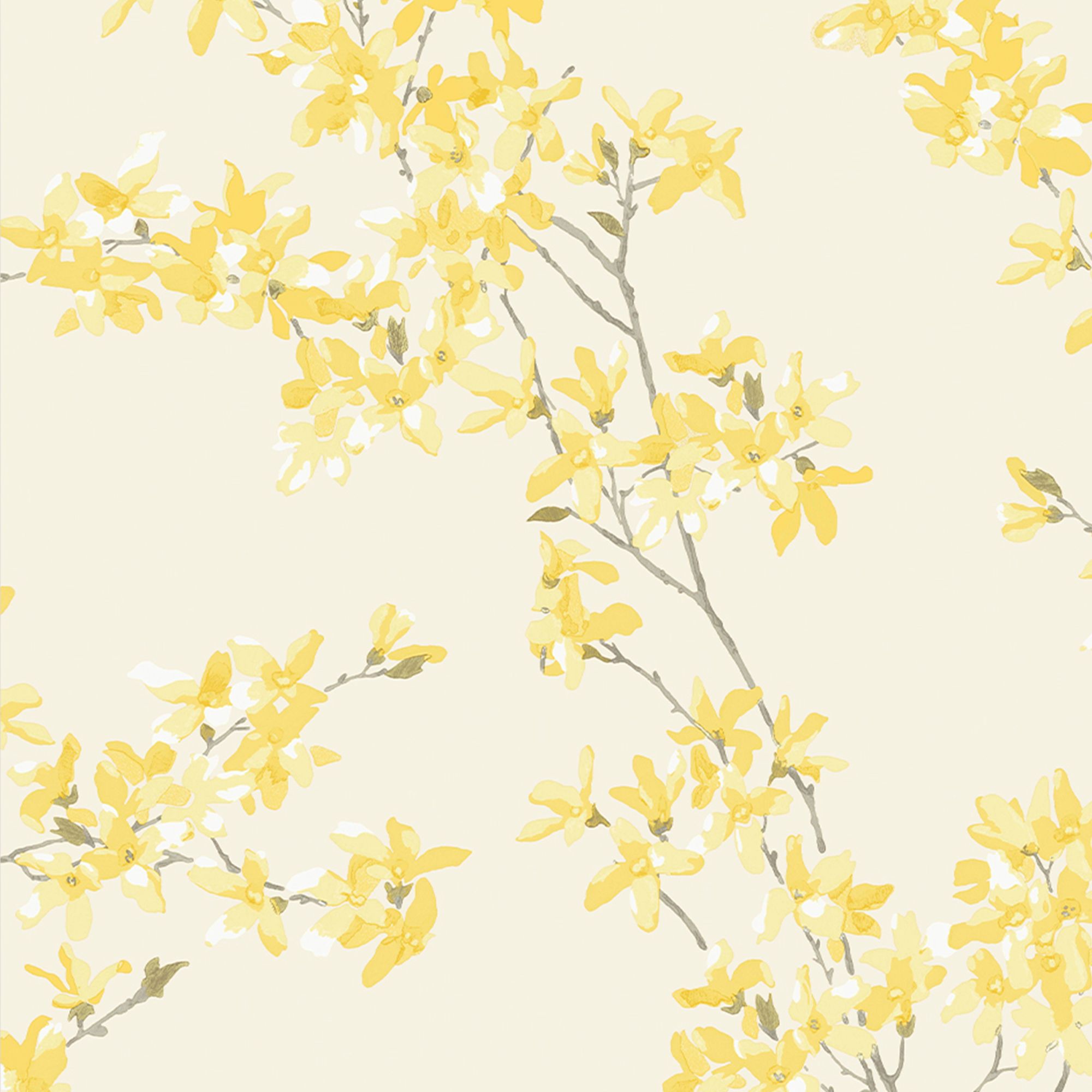 Laura Ashley Forstyhia Sunshine Floral Smooth Wallpaper Sample