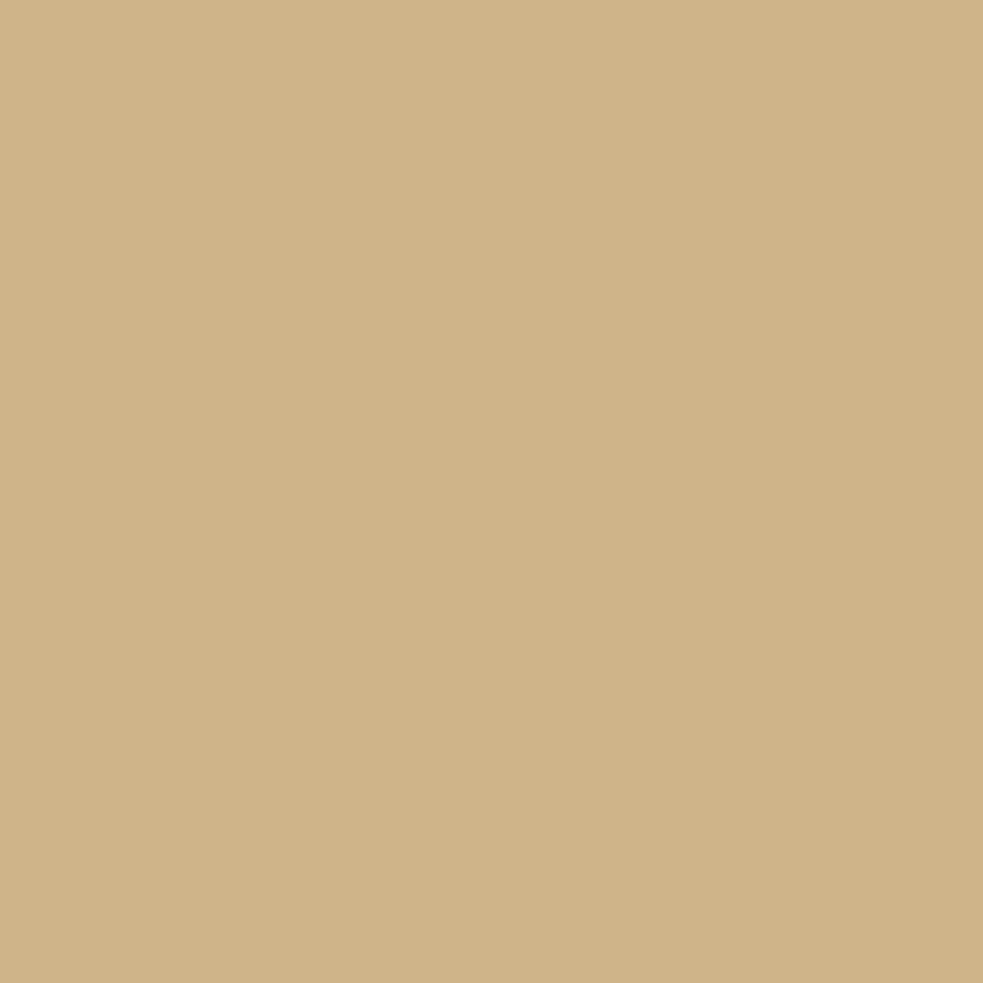 Laura Ashley Gold Matt Emulsion paint, 2.5L
