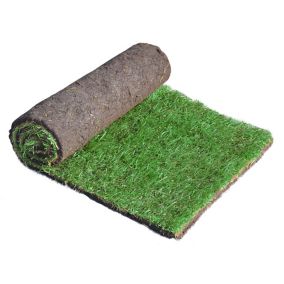 Lawn turf, 17m² Pack