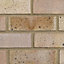 LBC Dapple Rough Grey Frogged Facing brick (L)215mm (W)102.5mm (H)65mm