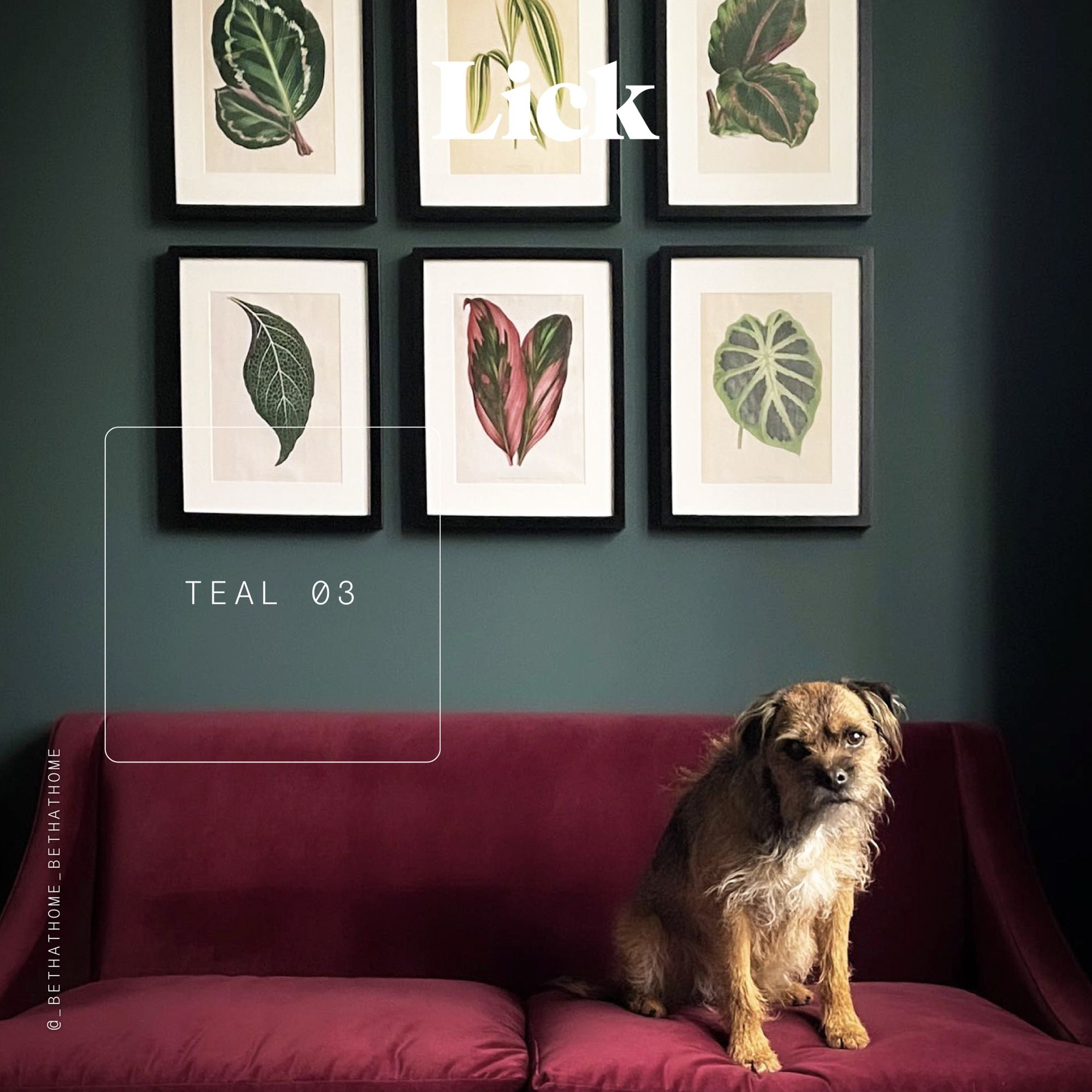 Lick Teal 03 Peel & stick Tester