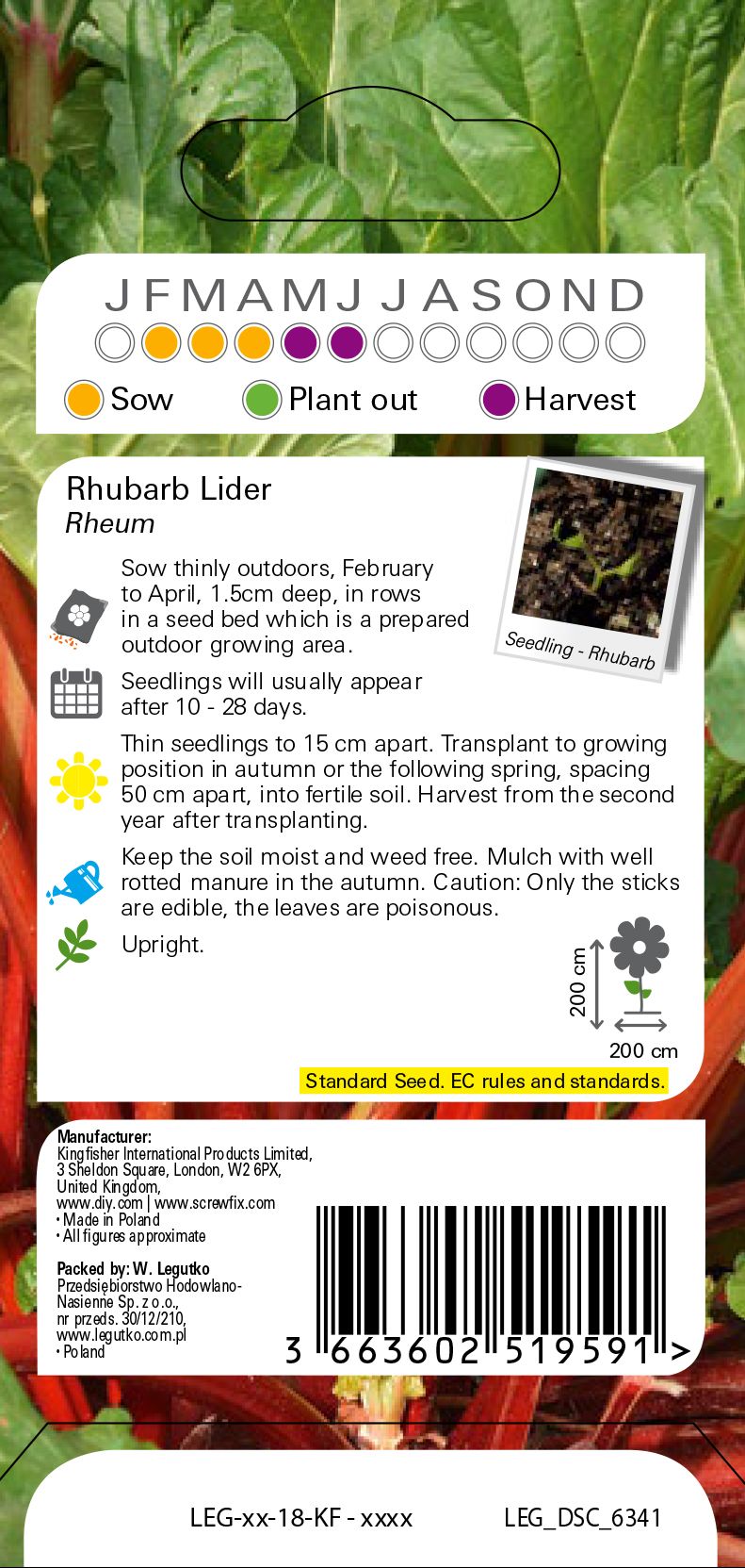Lider rhubarb Seed