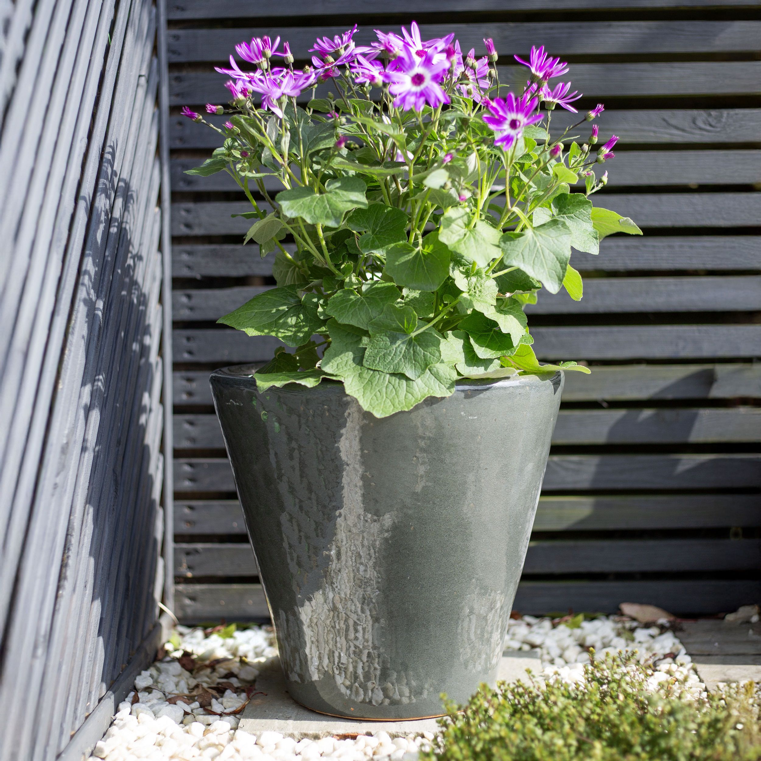 Lily Grey Terracotta Glazed Plant pot (H)31cm