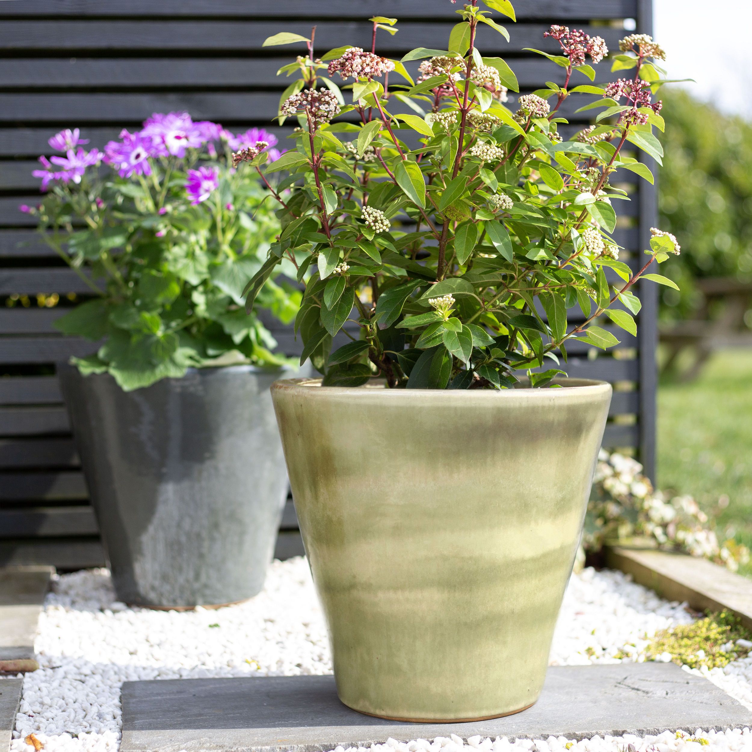 Lily Taupe Terracotta Glazed Plant pot (H)31cm