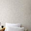 Lonrai Taupe Plaster effect Textured Wallpaper Sample