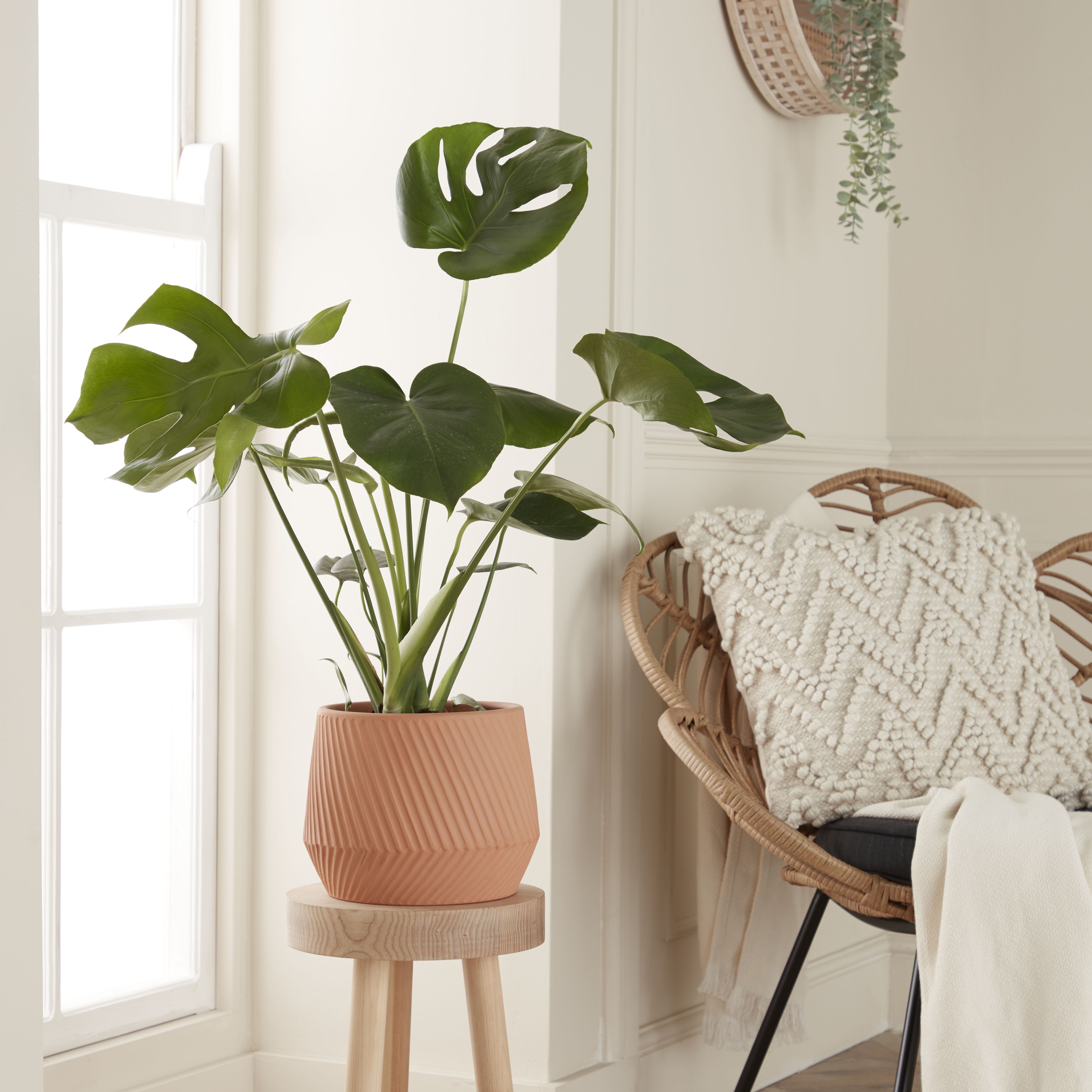 Lummi Beige Terracotta Slanting stripes Circular Plant pot (Dia)23.5cm