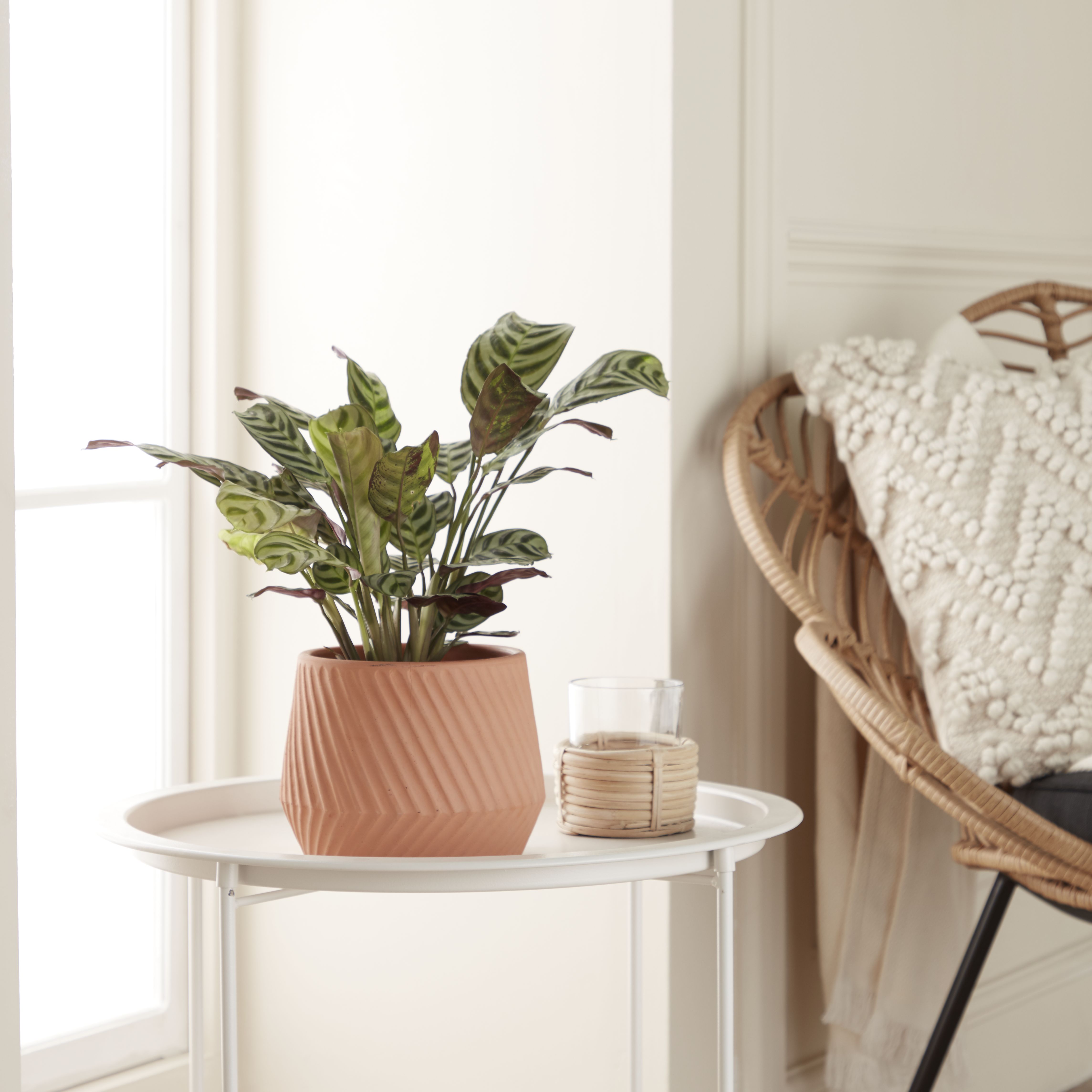 Lummi Natural Terracotta Slanting stripes Circular Plant pot (Dia)17cm