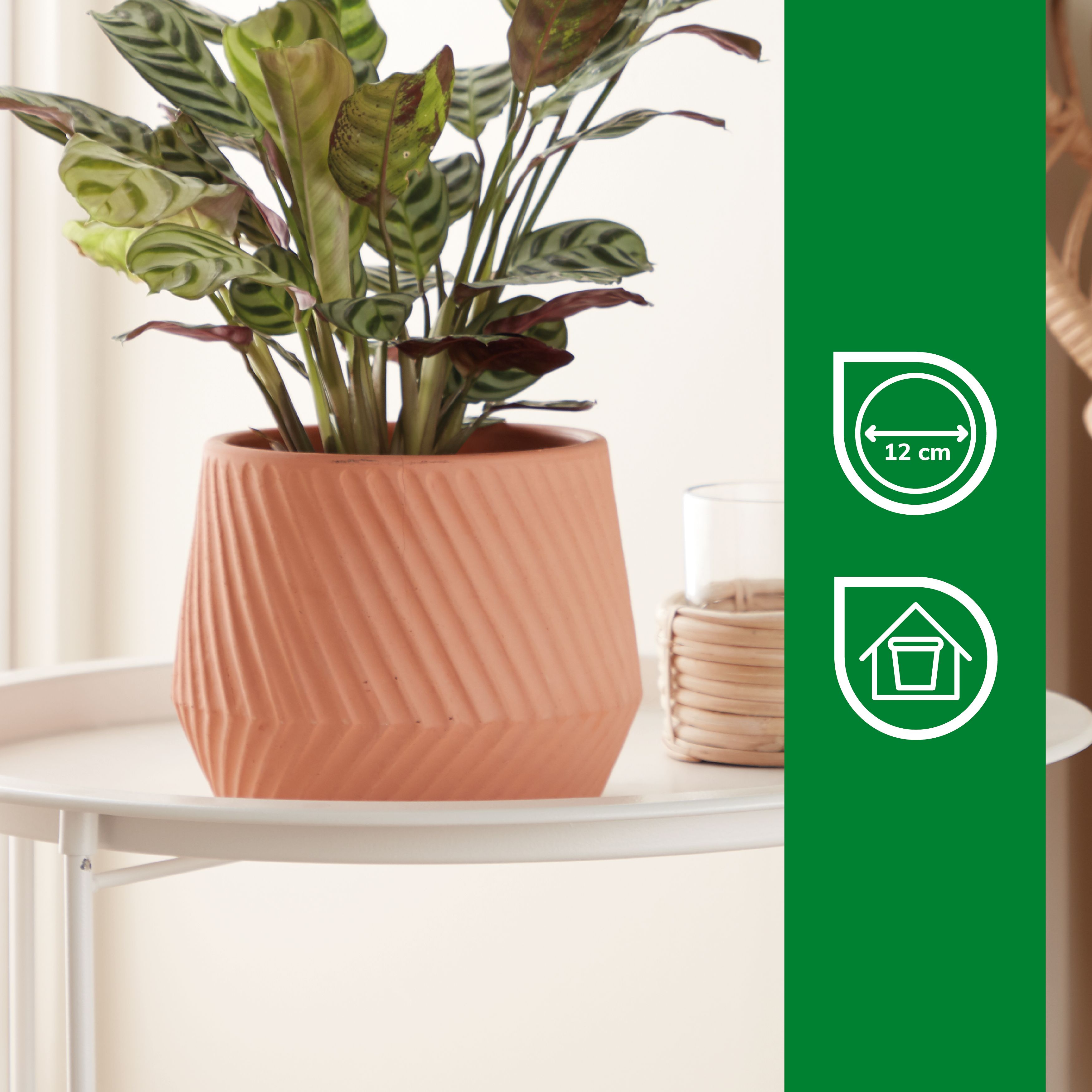 Lummi Natural Terracotta Slanting stripes Circular Plant pot (Dia)17cm
