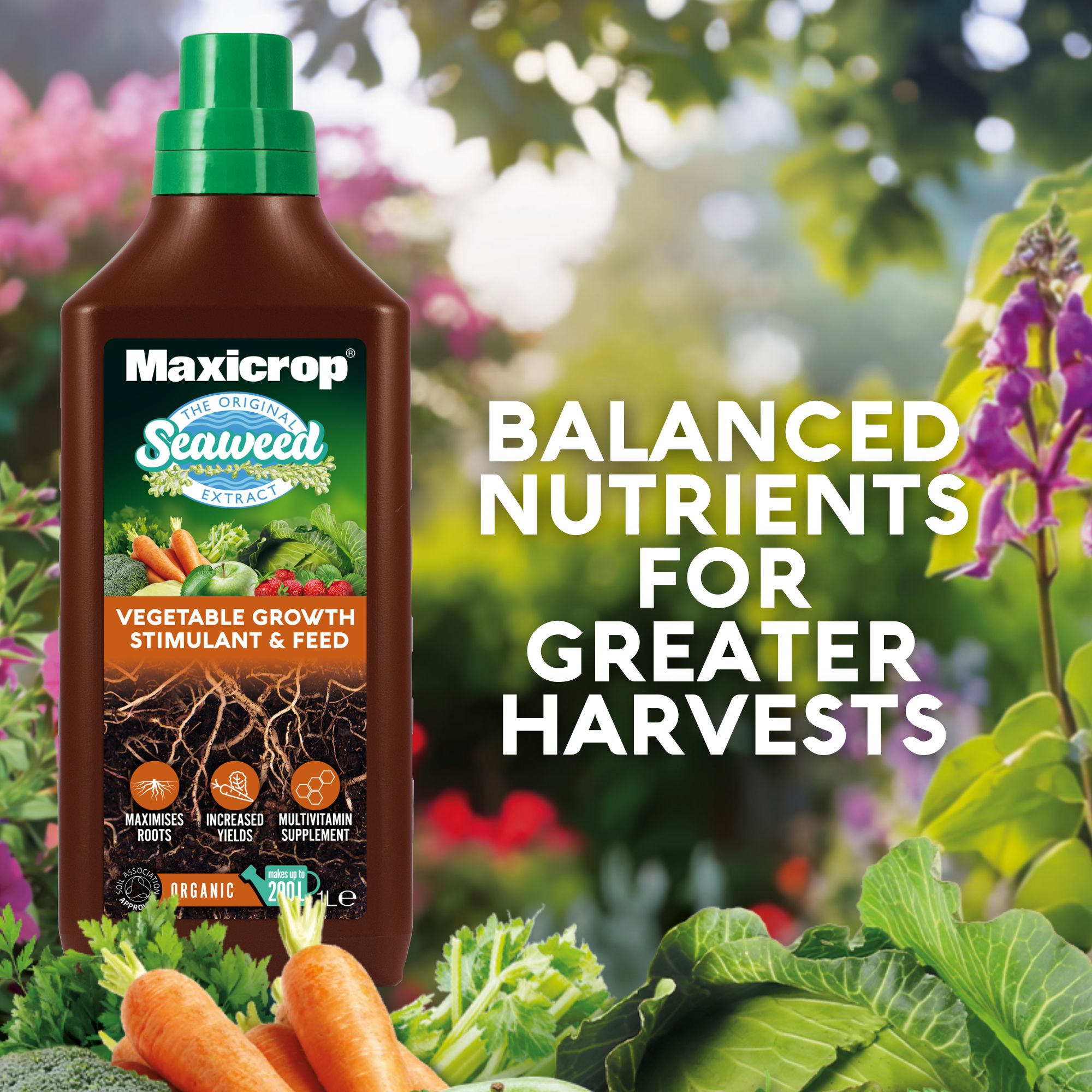 Maxicrop All purpose Vegetable growth stimulant & feed, 1L Liquid