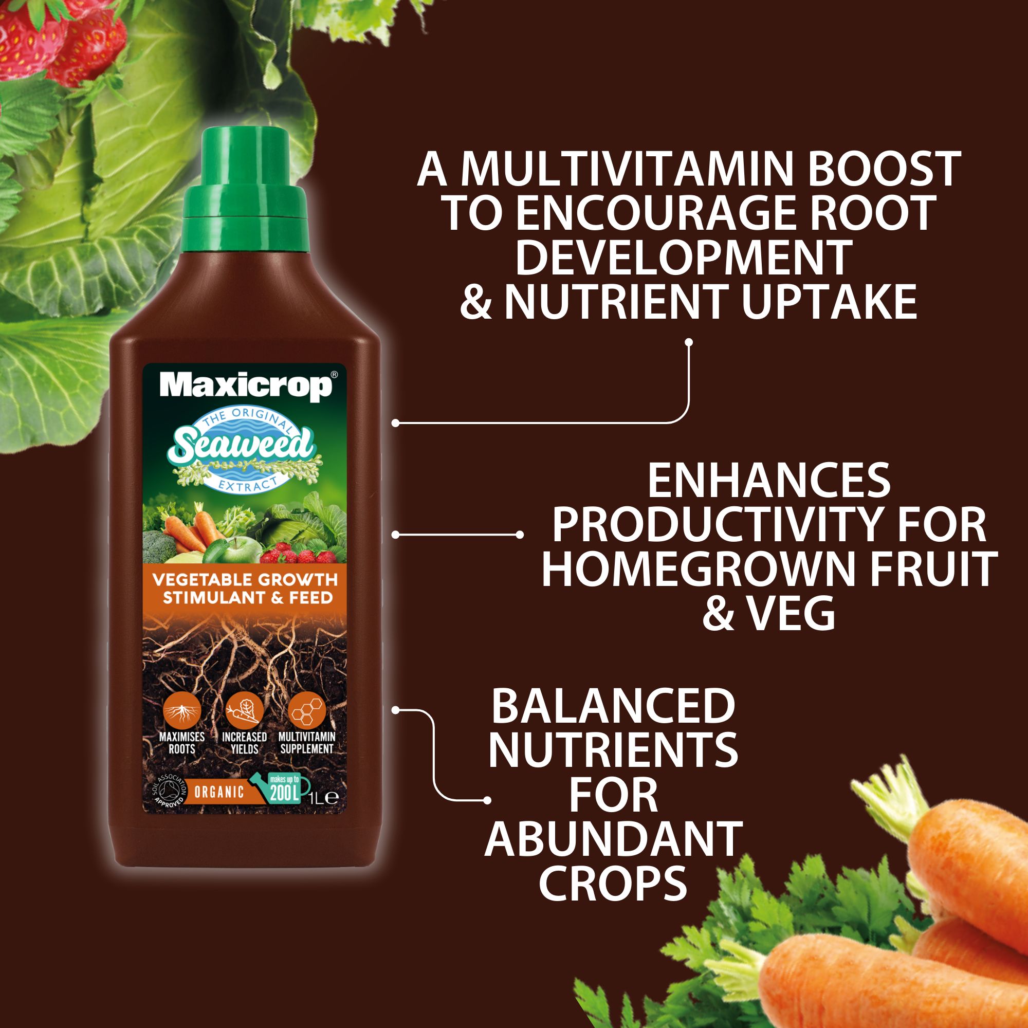 Maxicrop All purpose Vegetable growth stimulant & feed, 1L Liquid