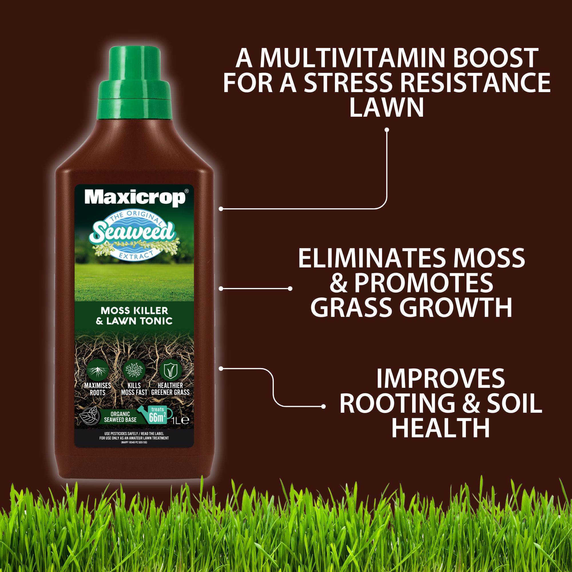 Maxicrop Concentrated Moss killer 1L
