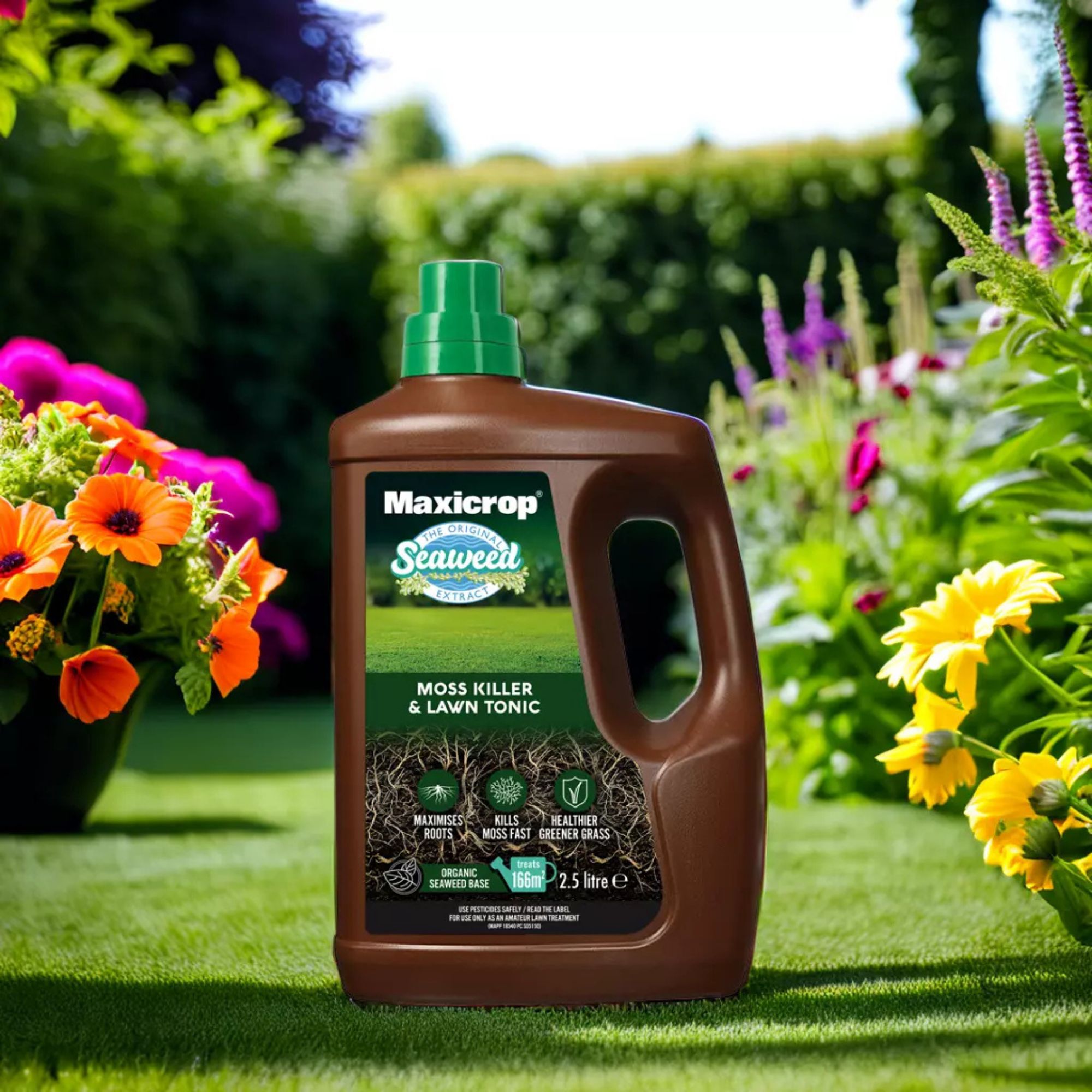 Maxicrop Lawn food & moss control, 2.5L Liquid