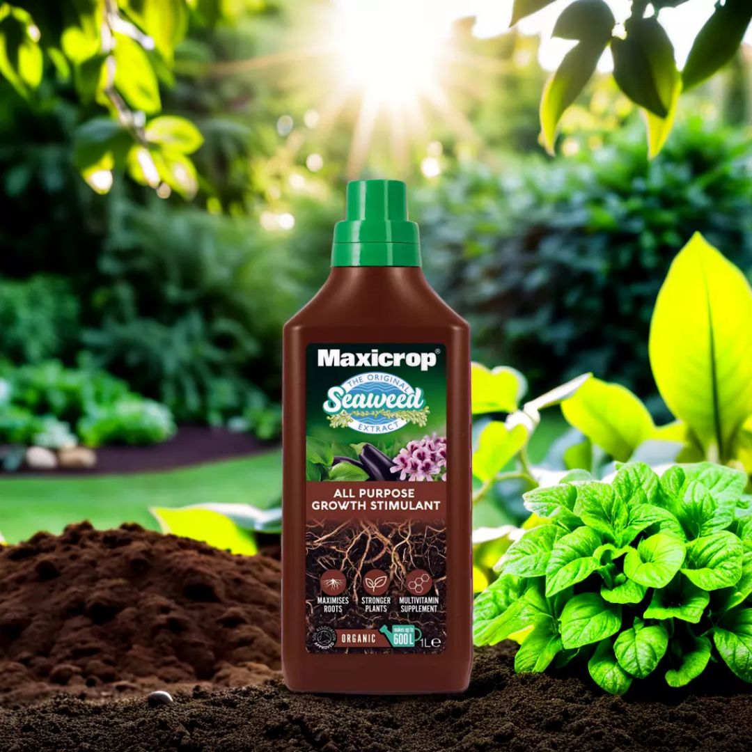 Maxicrop Universal Liquid Plant invigorator 1L