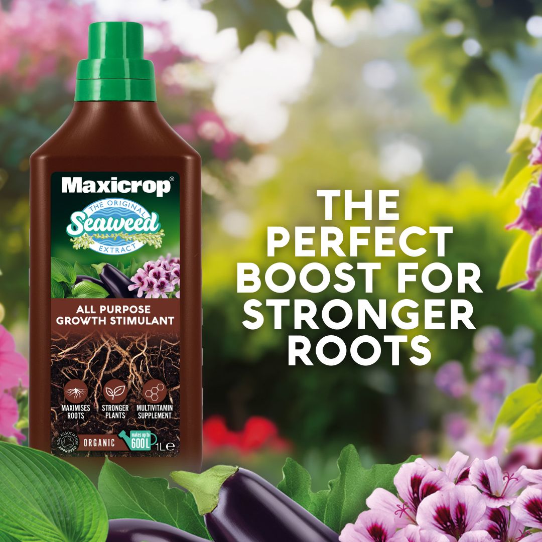 Maxicrop Universal Liquid Plant invigorator 1L