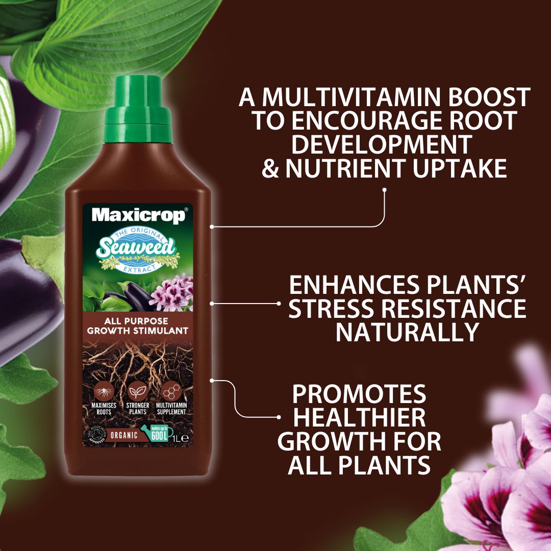 Maxicrop Universal Liquid Plant invigorator 1L