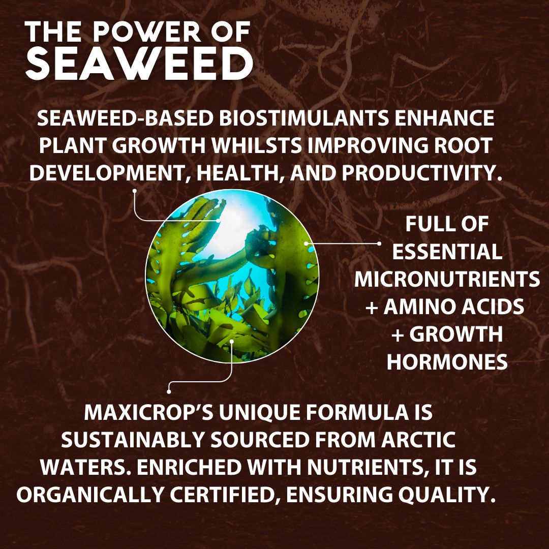 Maxicrop Universal Liquid Plant invigorator 1L