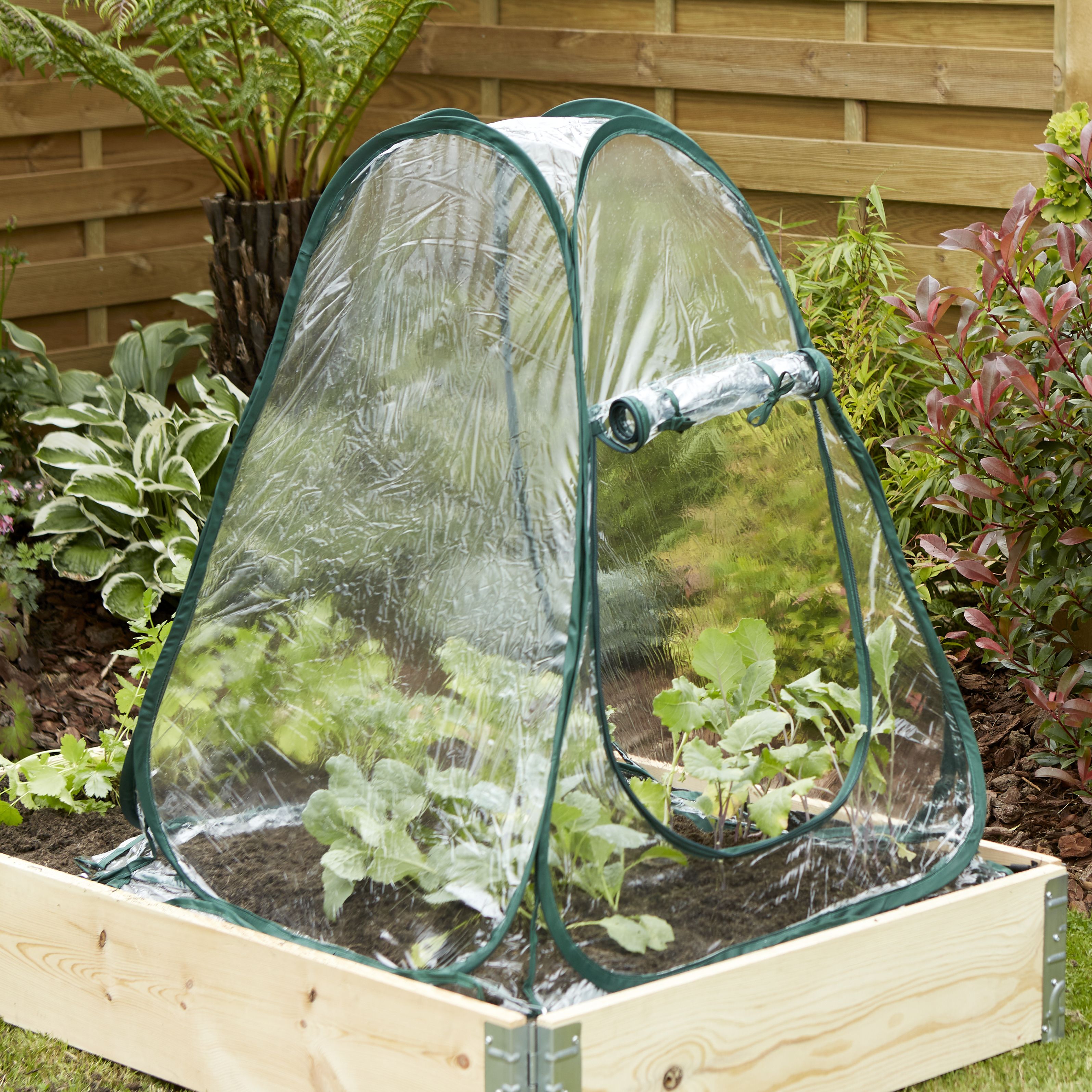 Metal Coldframe 80cm(H) 68cm(W)