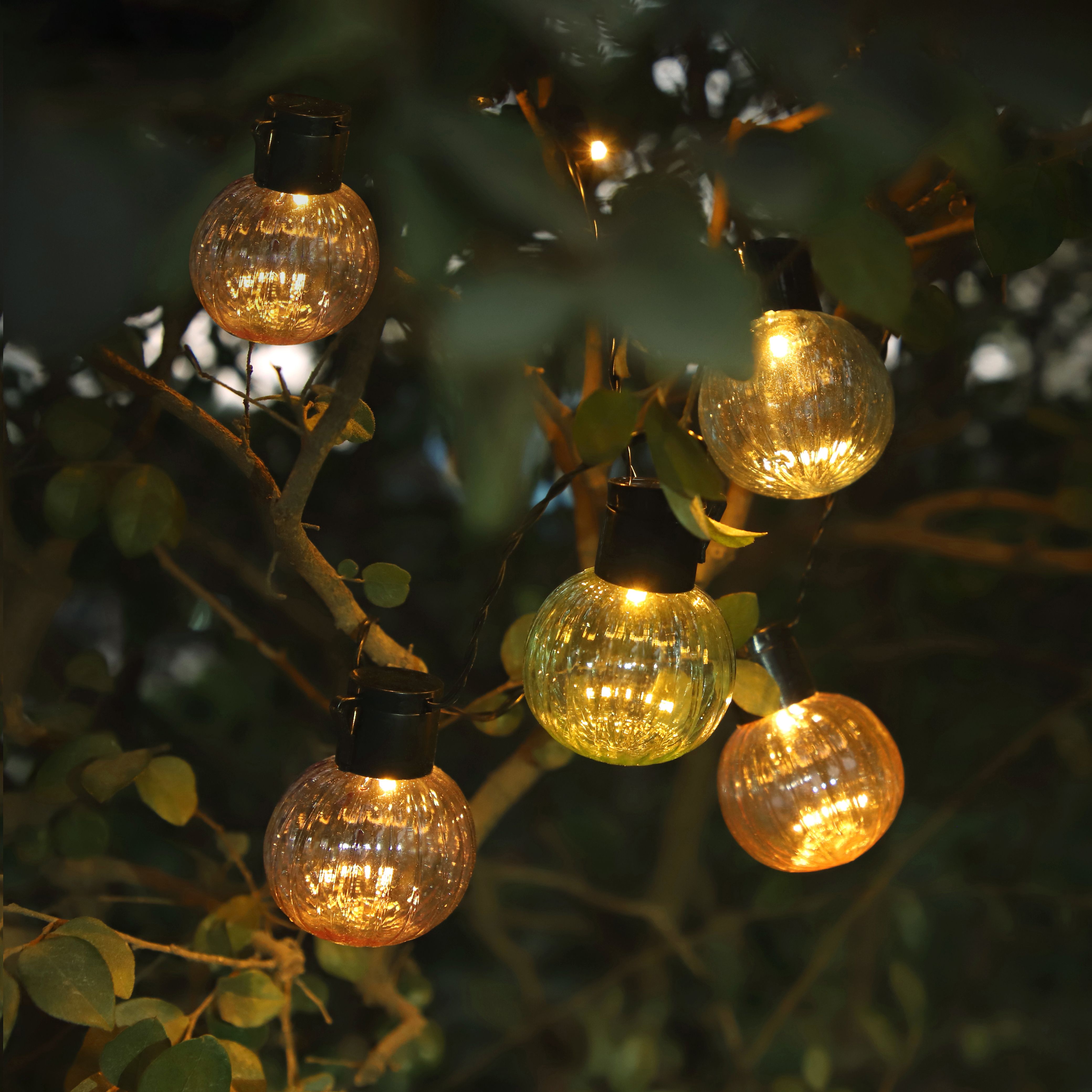 Michetta Solar-powered Warm white 10 Integrated LED Outdoor String lights