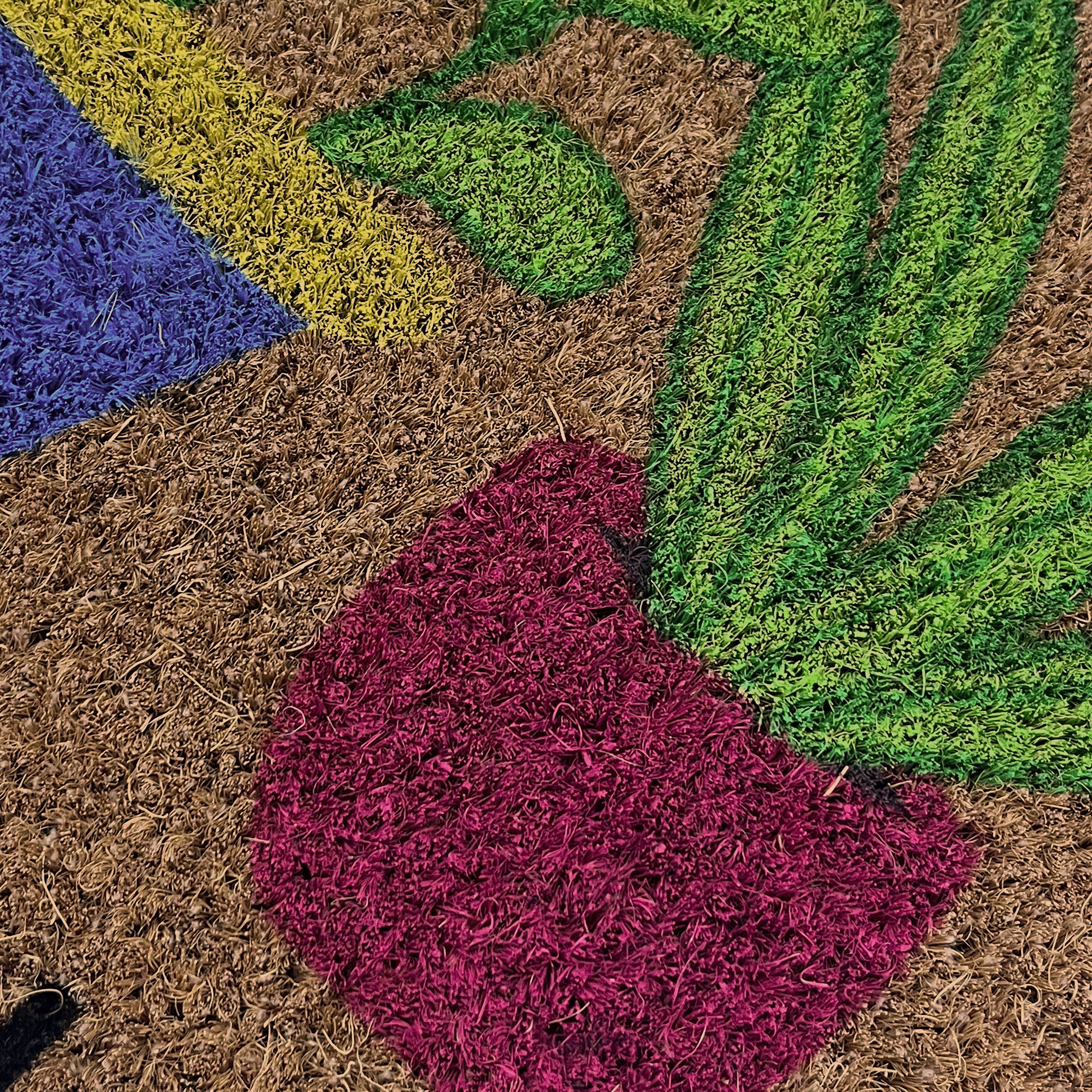 Mighty Mats® Natural & Multicolour Flower Pots Welcome Door mat, 57cm x 40cm