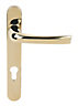 Mila ProLinea Polished Gold effect Zinc alloy Door handle (L)125mm