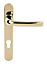 Mila ProLinea Polished Gold effect Zinc alloy Door handle (L)125mm