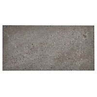 Milestone Grey Matt Concrete effect Modern Porcelain Indoor Floor Tile, Pack of 8, (L)307mm (W)617mm