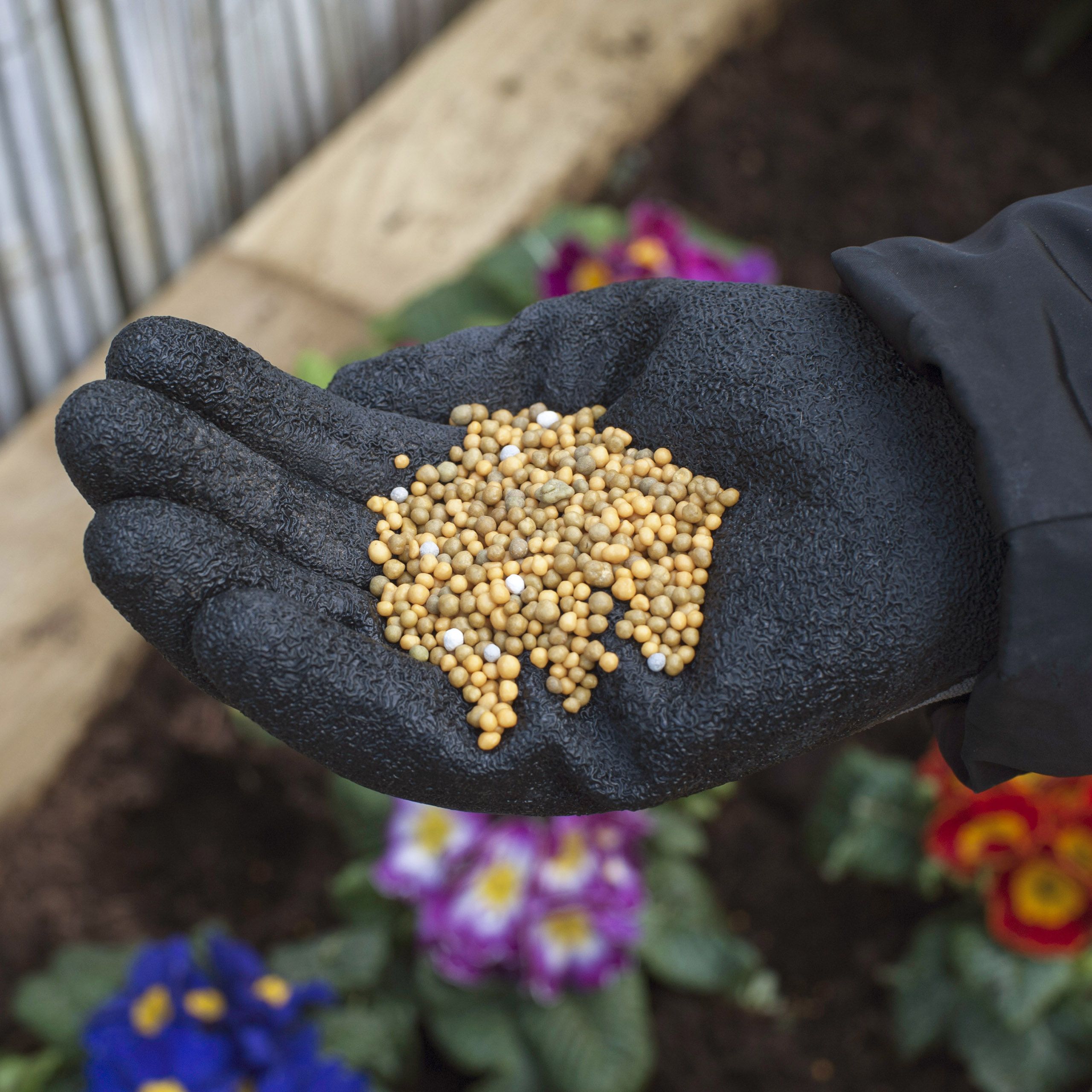 Miracle-Gro All purpose Universal Plant fertiliser Granules 0.9kg