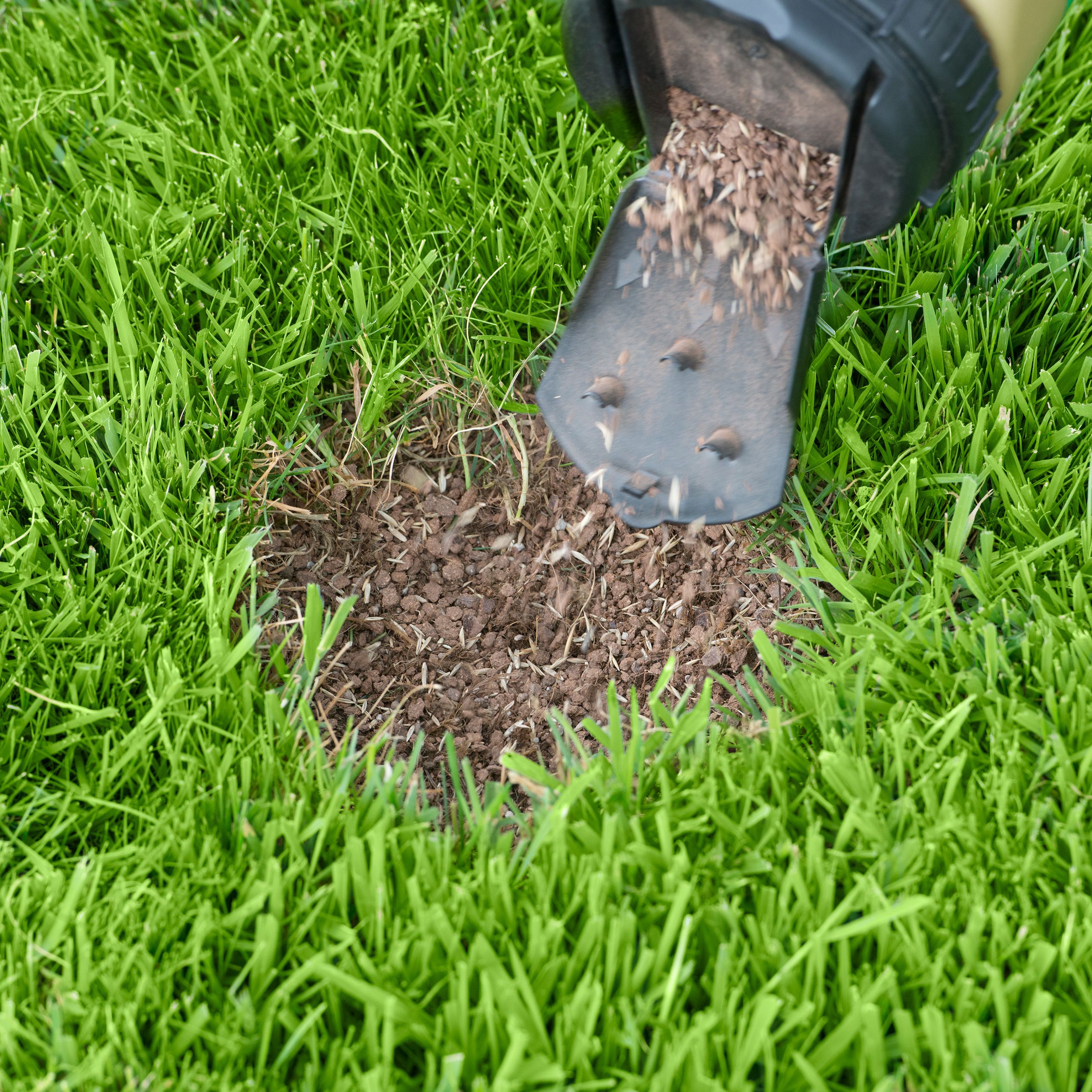 Miracle-Gro Lawn repair 6m² 1.3kg