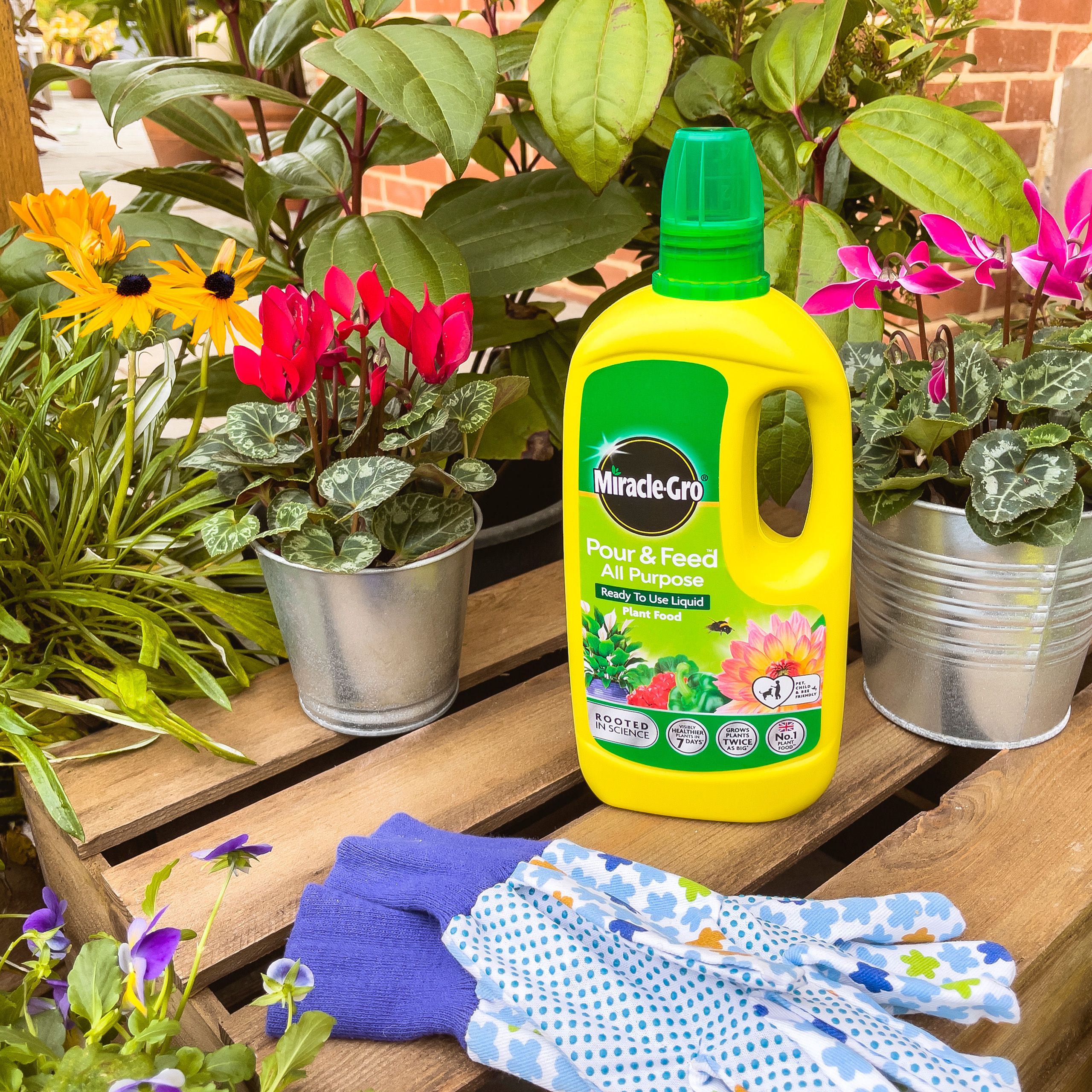 Miracle-Gro Pour & feed Universal Liquid Plant feed 1L