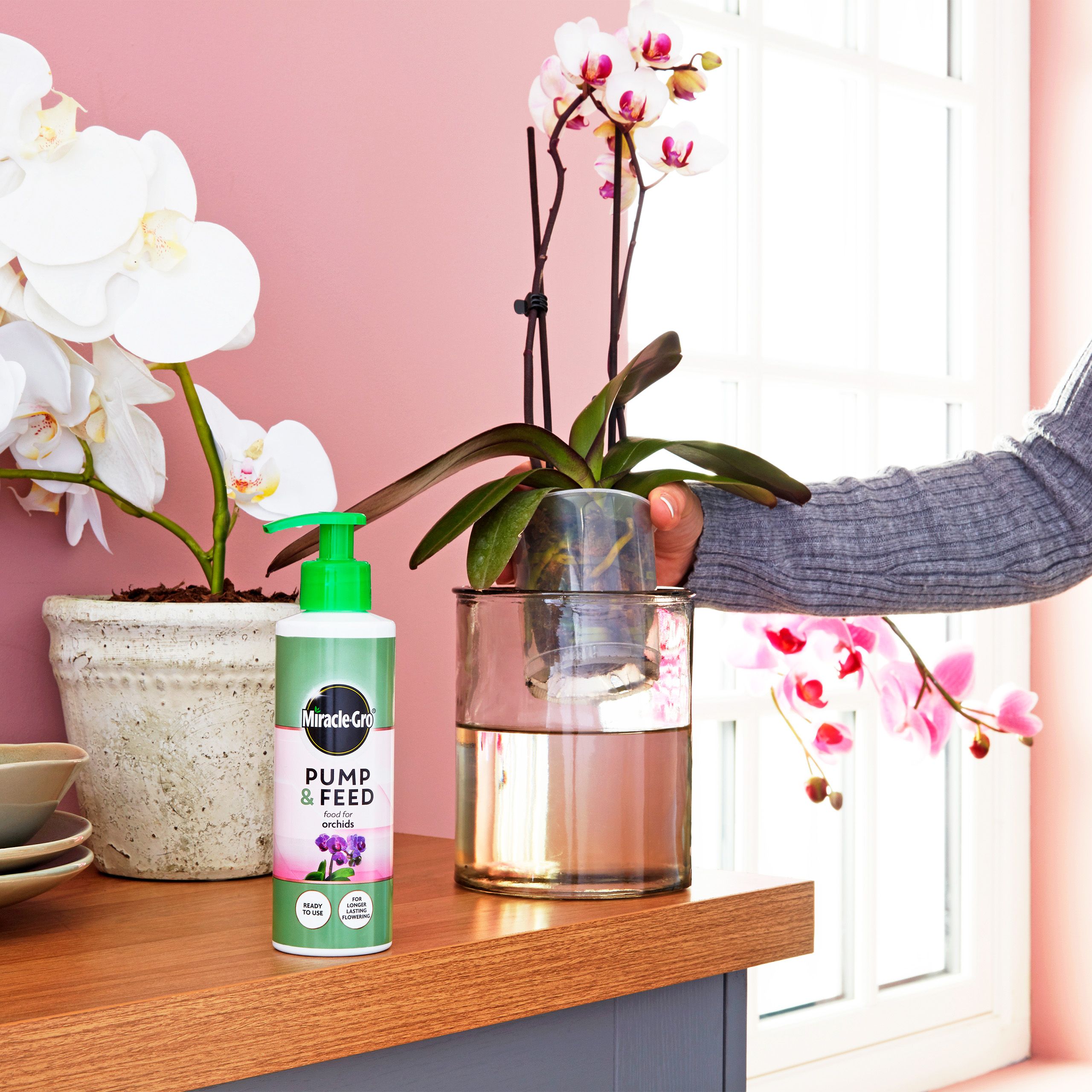 Miracle-Gro Pump & feed Liquid Plant feed 200ml