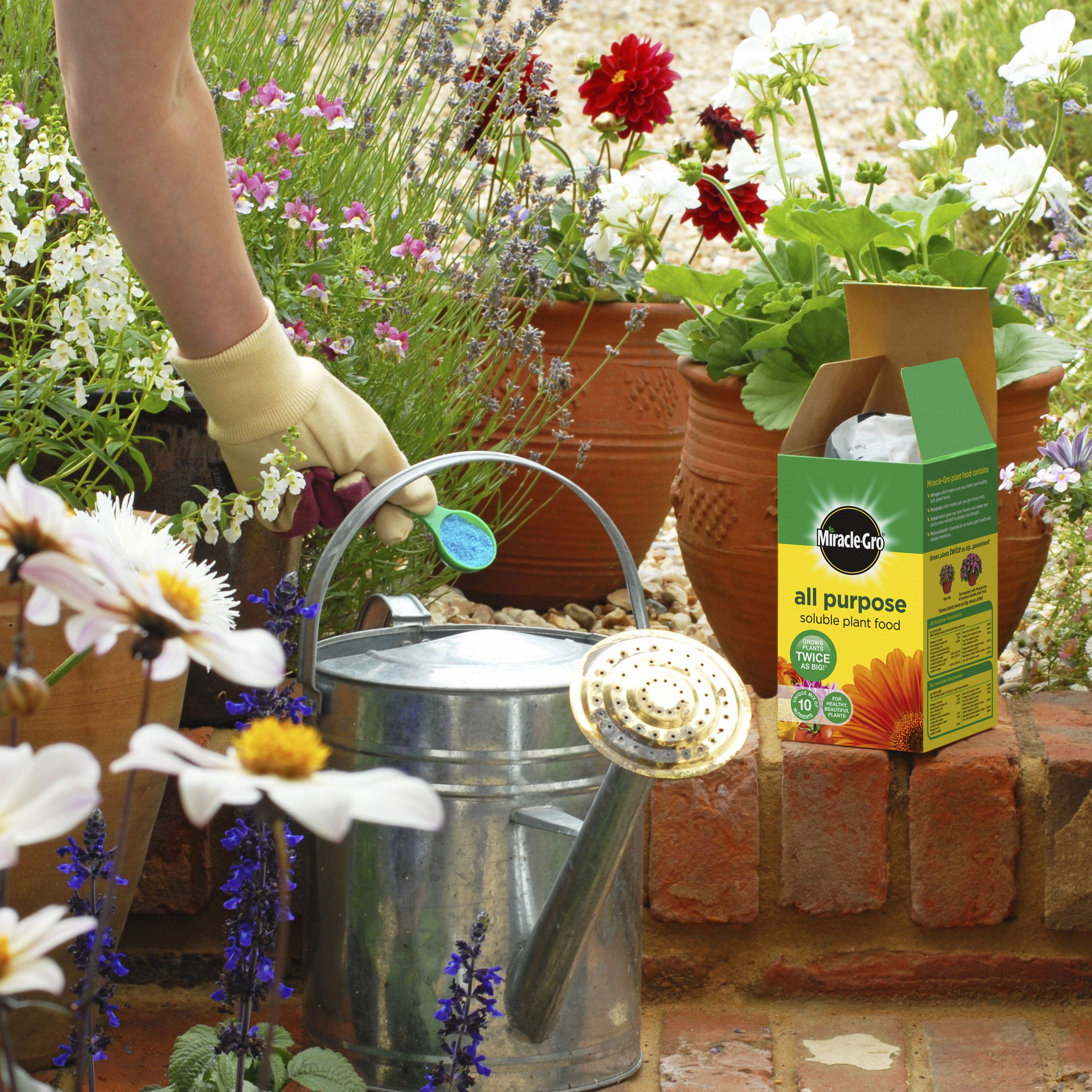 Miracle-Gro Universal Plant feed 1kg