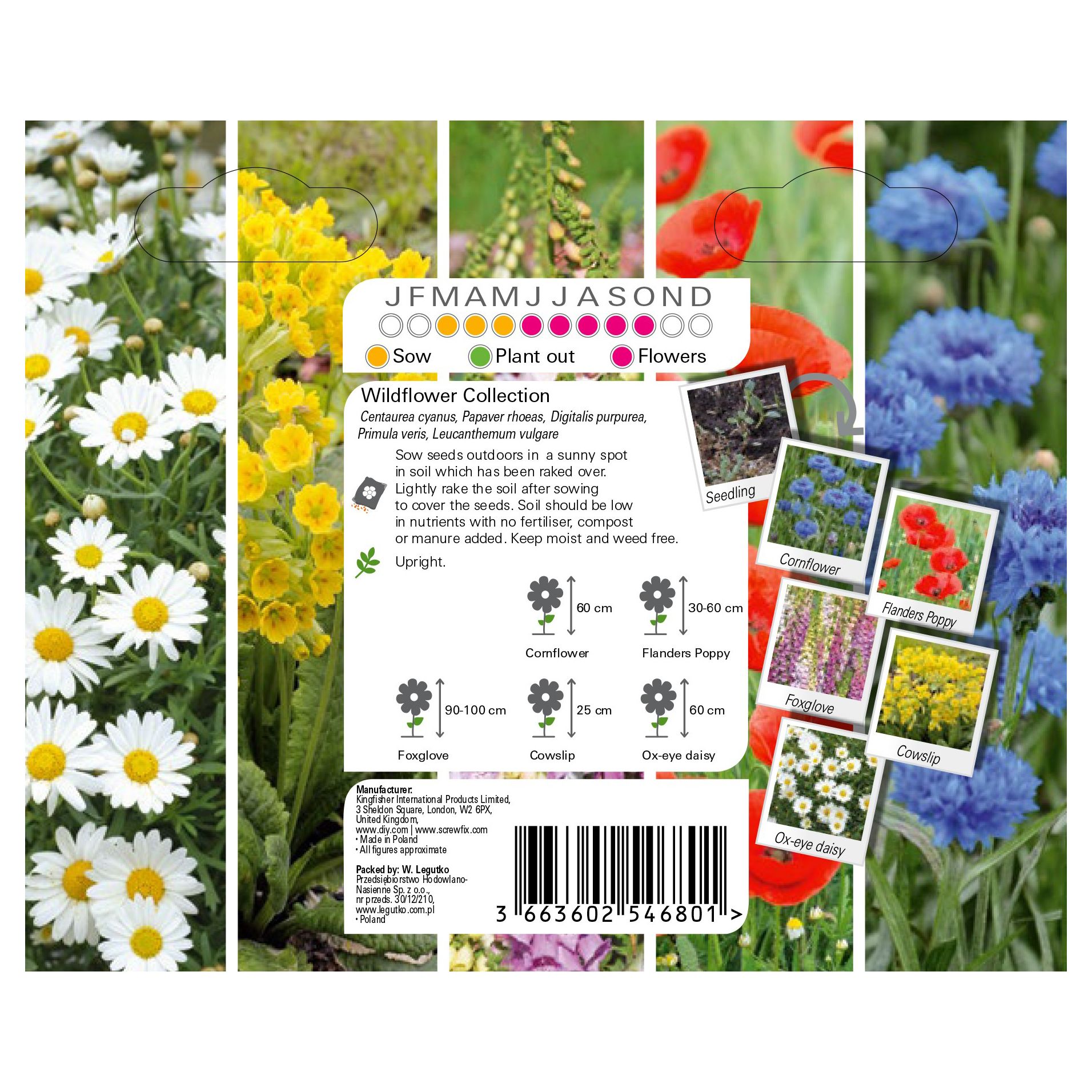 Mixed Collection Wildflower Seed