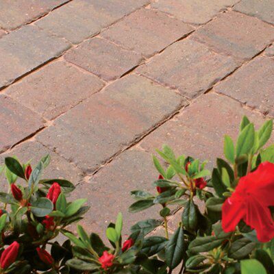 Monksbridge Royale Block paving (L)200mm (W)100mm (T)60mm, Pack of 360