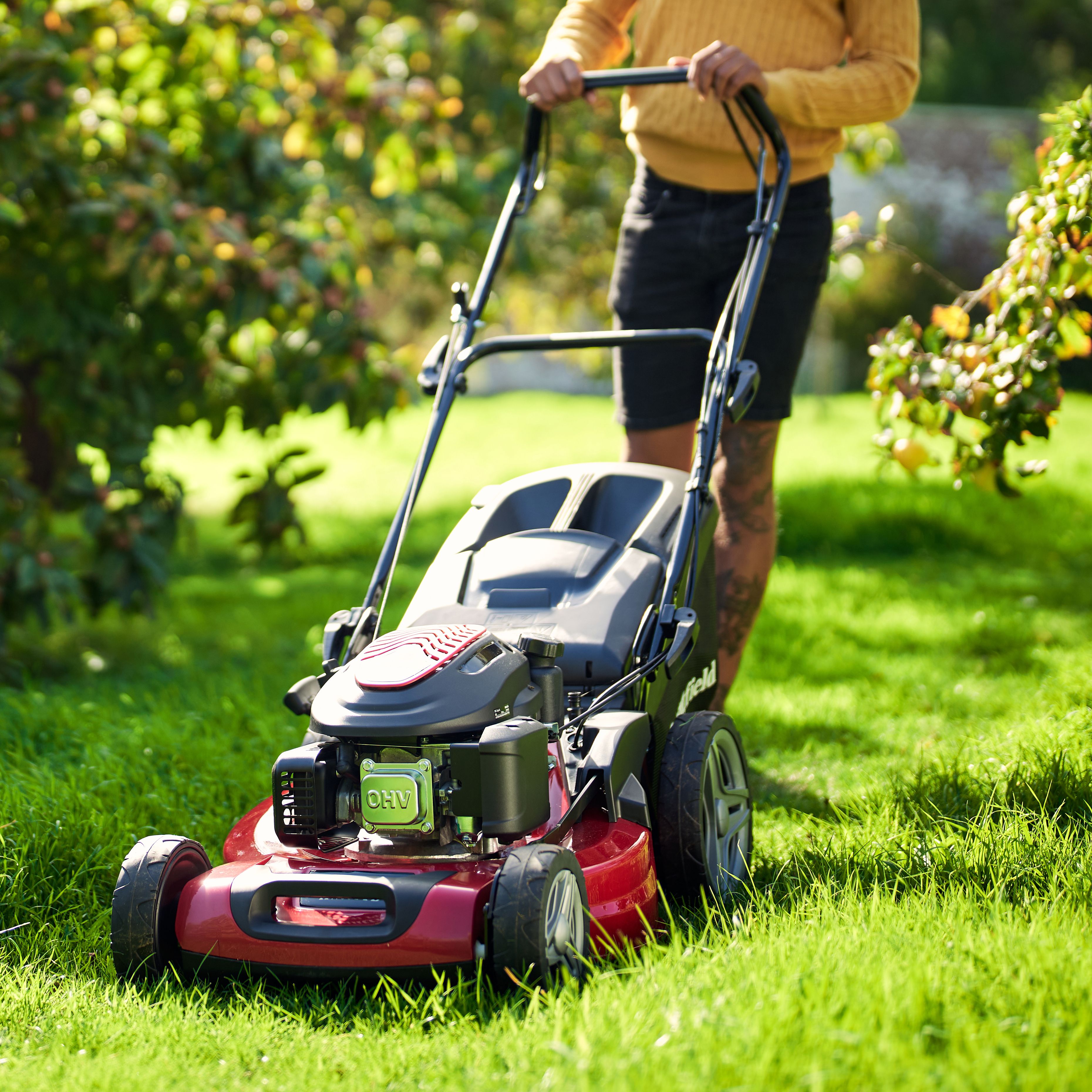 Mountfield HW531 PD / 294556043/M22 196cc Petrol Rotary Lawnmower