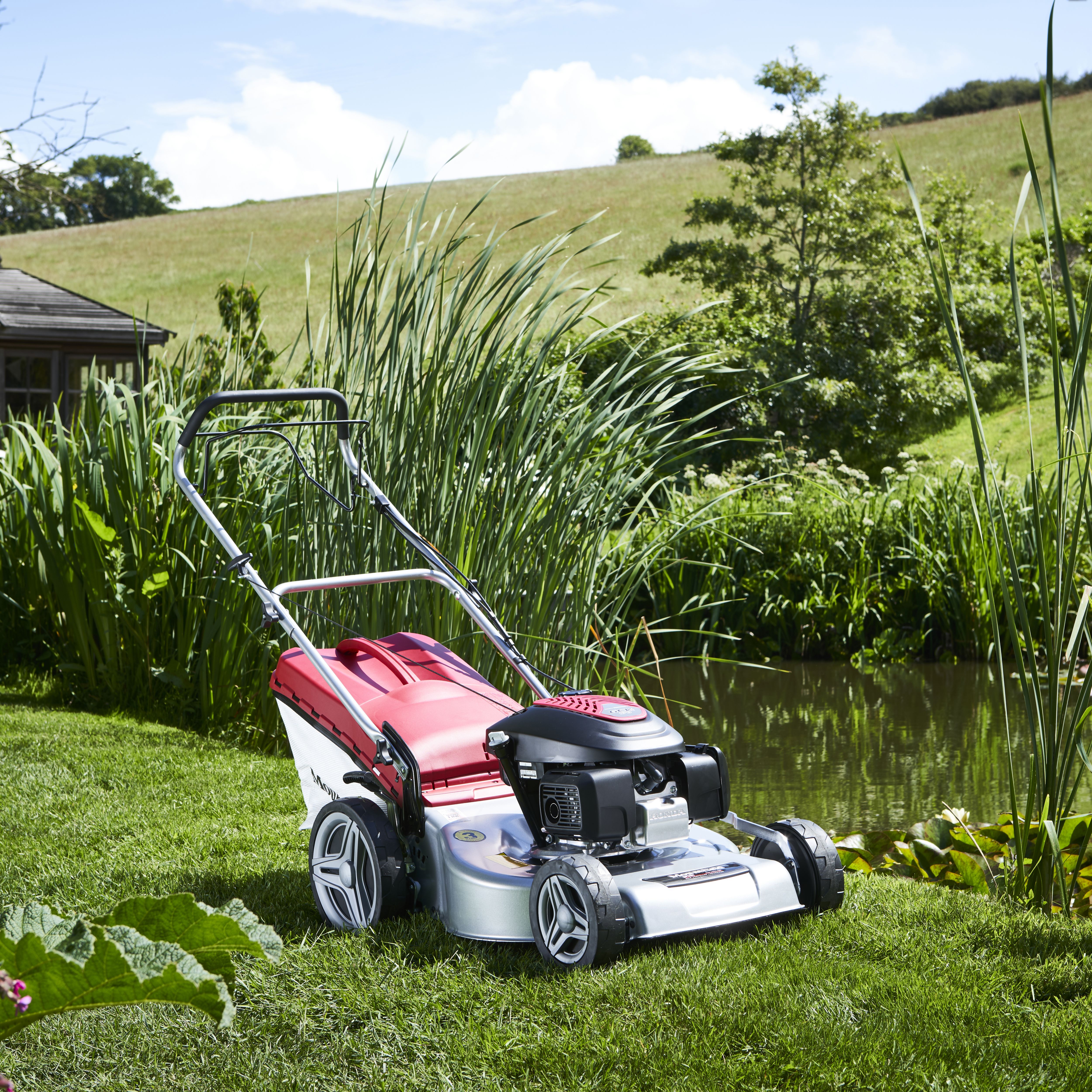 Mountfield 53cm online