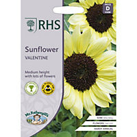 Mr Fothergill’s RHS Valentine Sunflower Seed