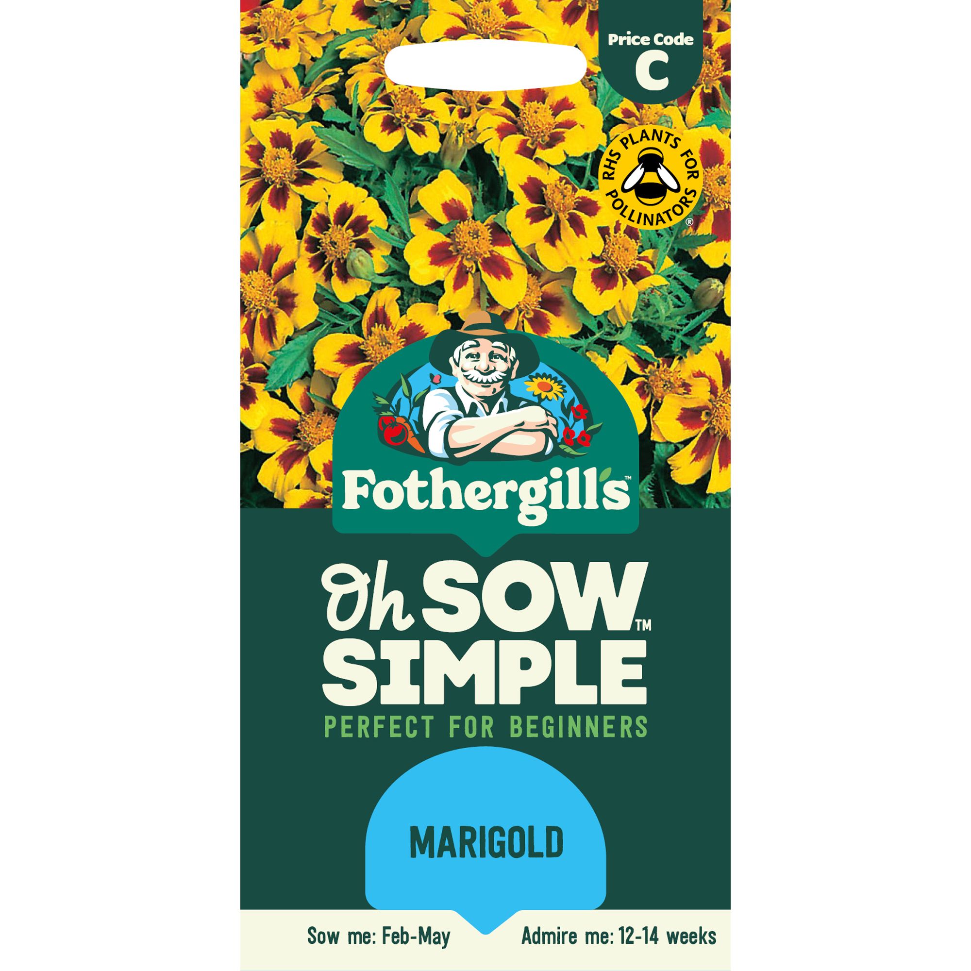 Mr Fothergills Oh Sow Simple Naughty Marietta Marigold Flower Seeds