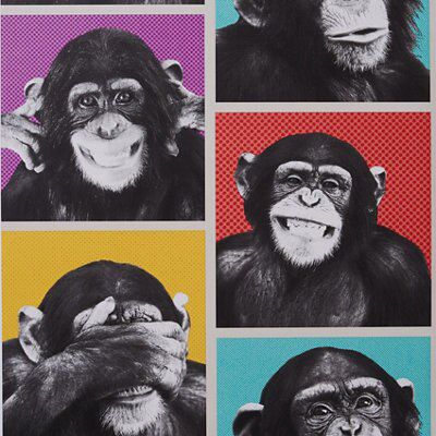 Muriva Cheeky chimps Multicolour Animal Embossed Wallpaper