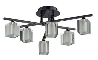 Black nickel store ceiling light