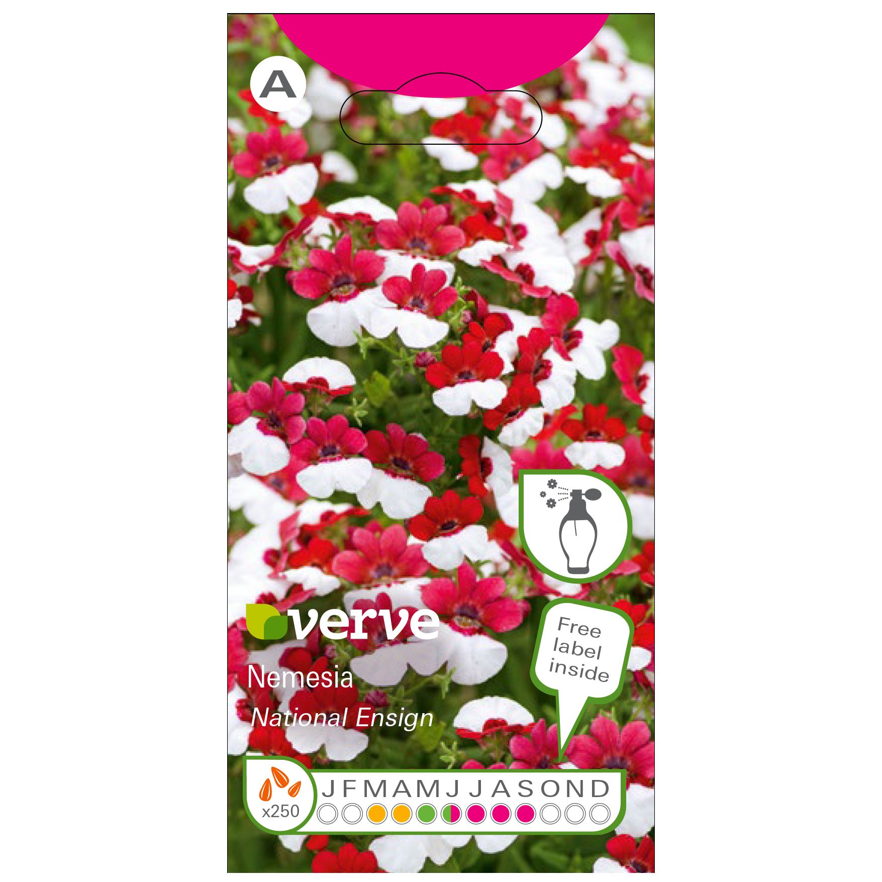 National ensign Nemesia Seed