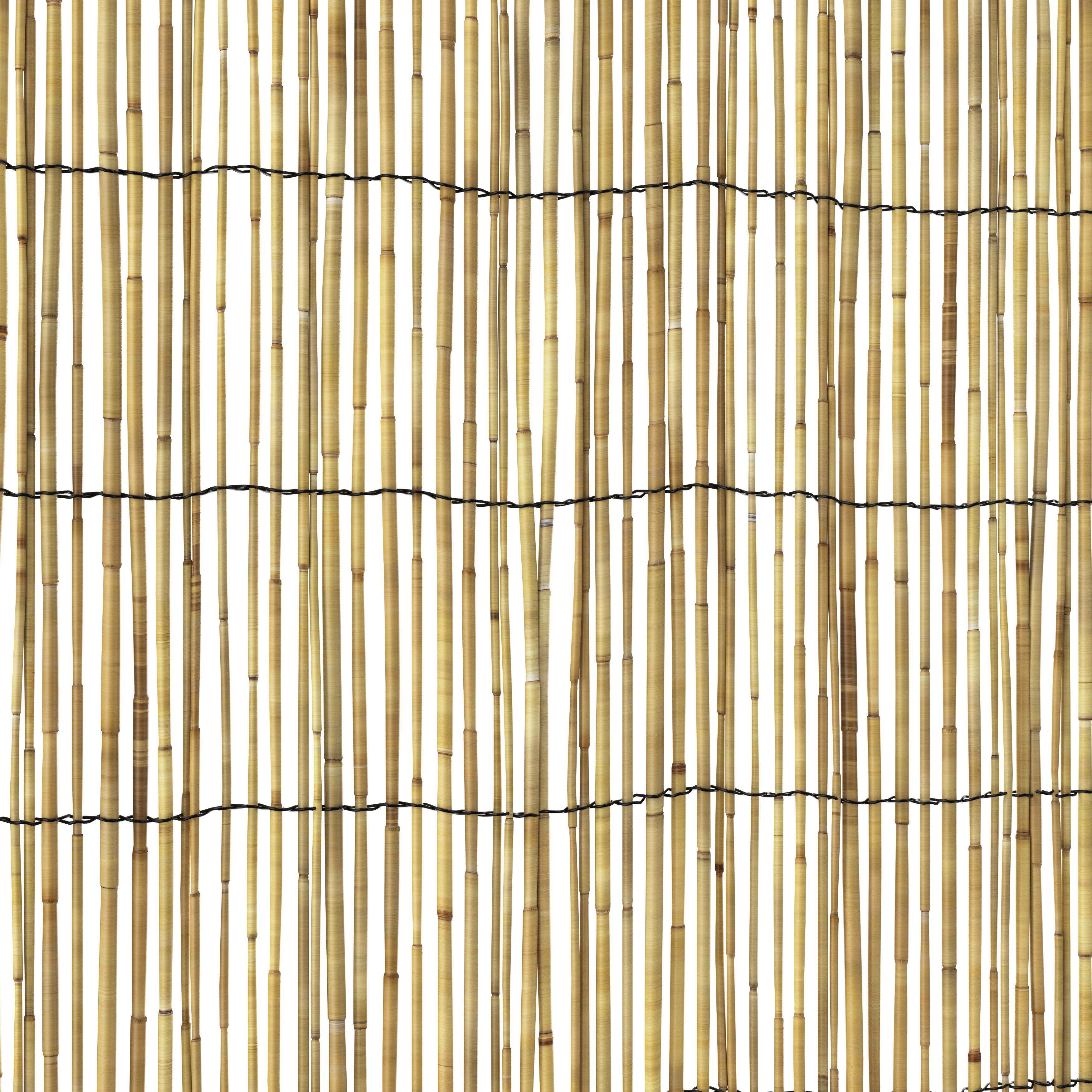 Natural Reed Garden screen (H)1.5m (W)3m