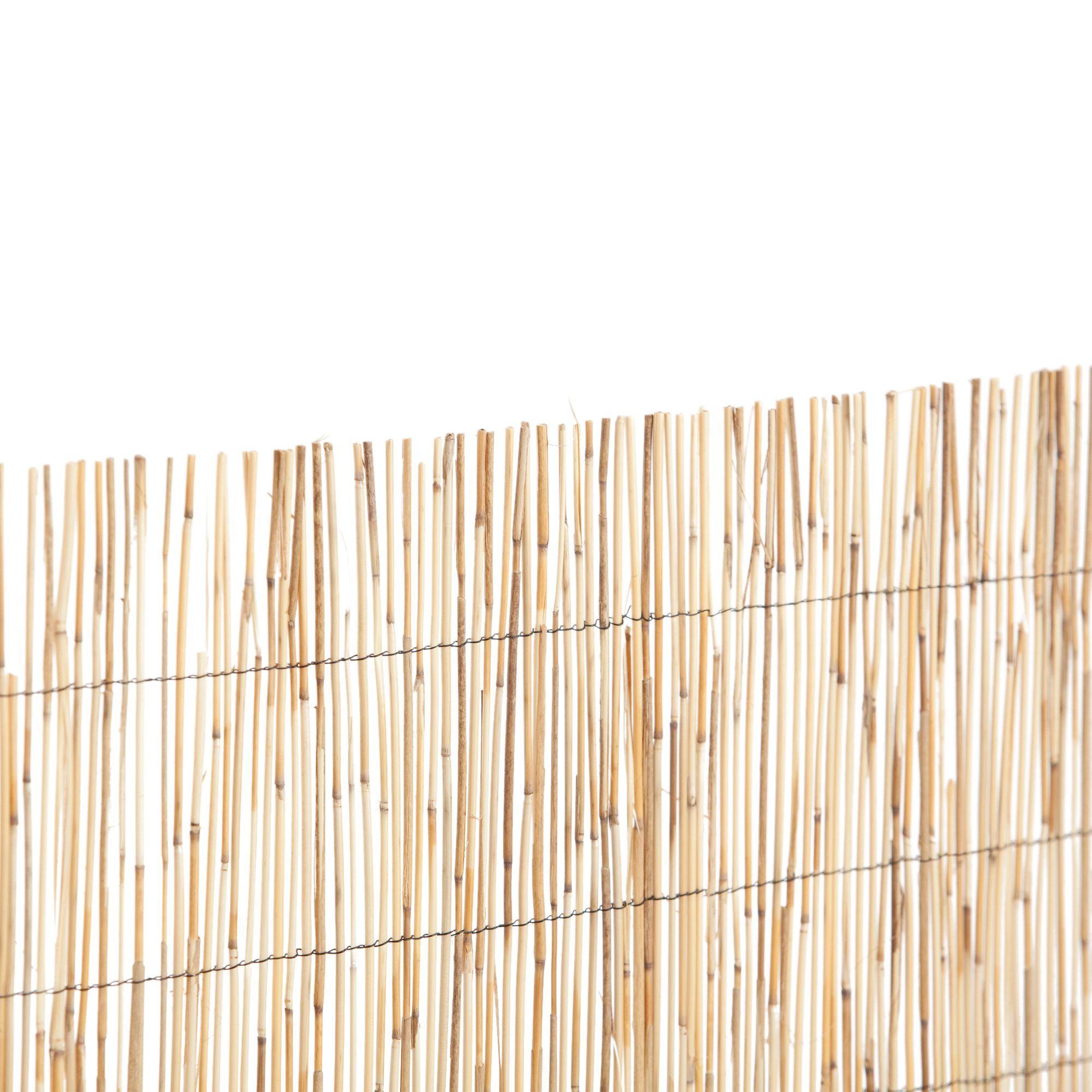 Natural Reed Garden screen (H)1.8m (W)3m