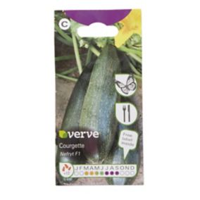 Nefryt F1 courgette Seed
