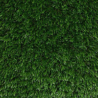 Newhaven High density Artificial grass (L)3m (W)4m (T)40mm