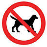No dogs allowed Self-adhesive labels, (H)100mm (W)100mm