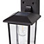 Non-adjustable Black Solar-powered Integrated LED Outdoor Wall light
