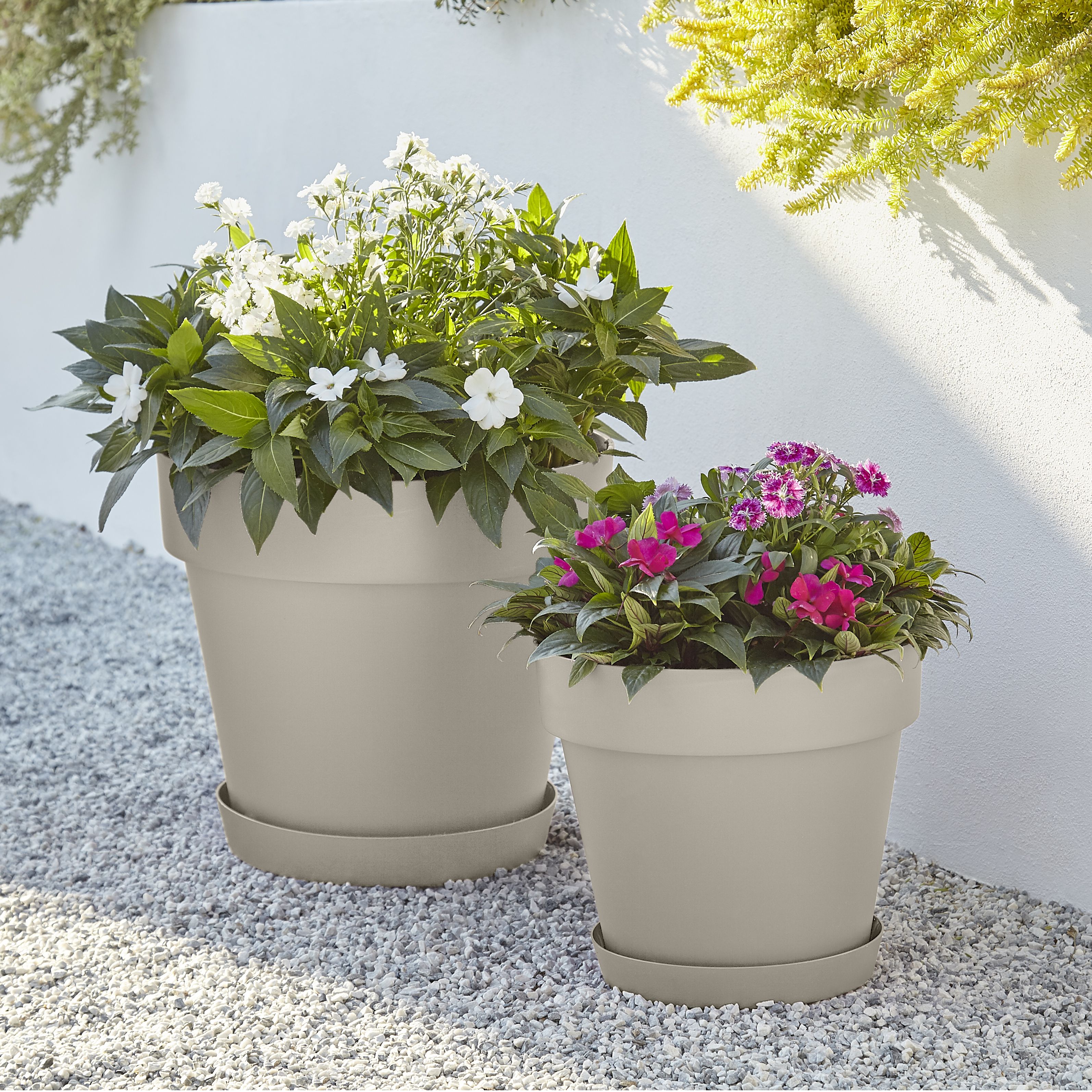 Nurgul Peyote Saucer (Dia)23cm