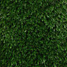 Oakham High density Artificial grass (L)3m (W)4m (T)36mm
